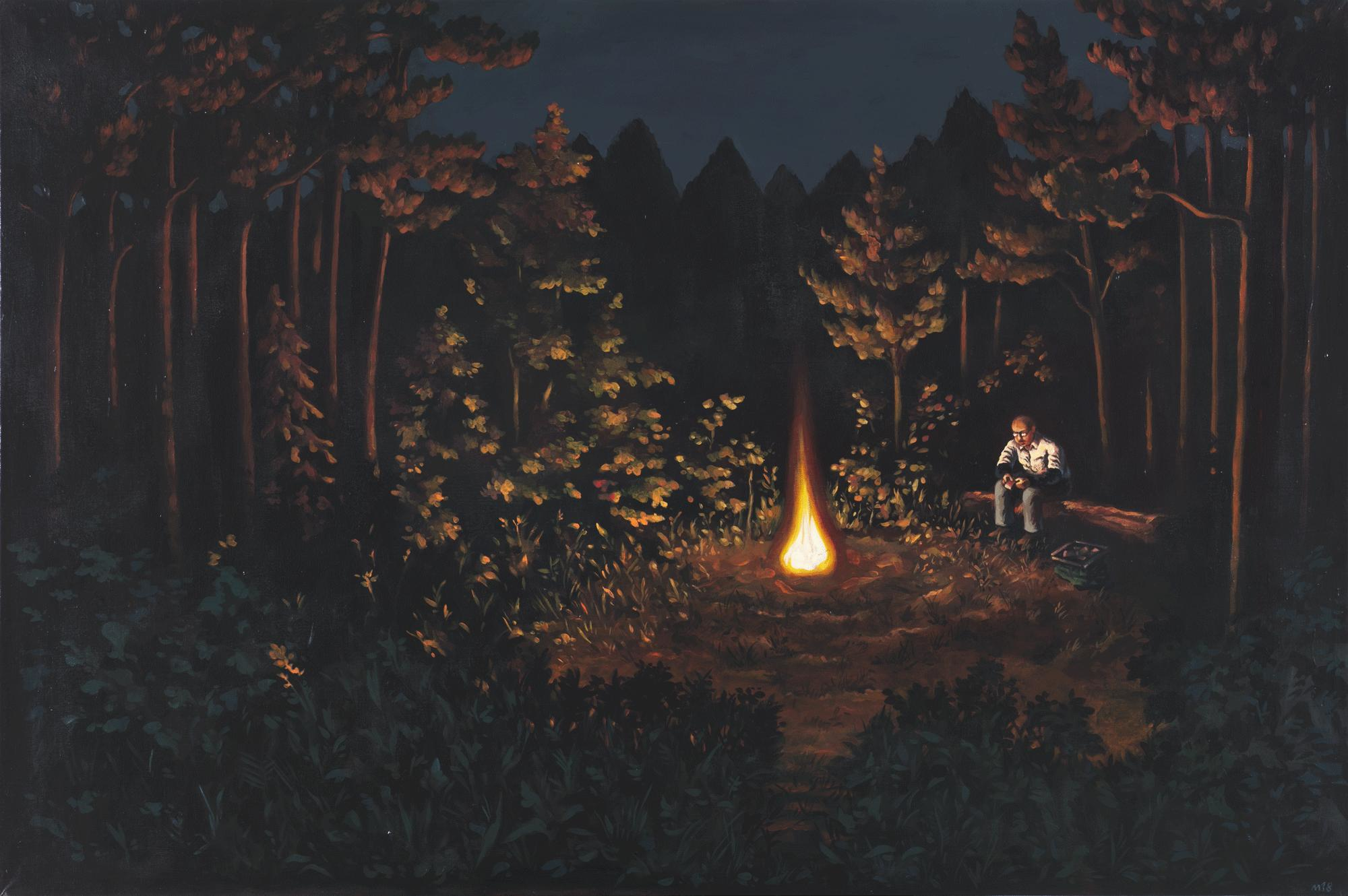 Сказочный костер в лесу